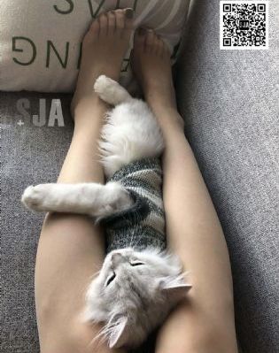 郭县令轶事